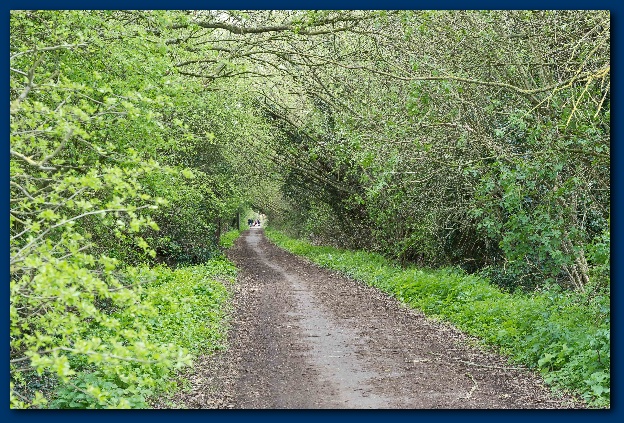 624x423 pixels (221K)